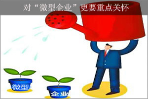 2019年深圳市小型微型企业培育资助项目申报指南