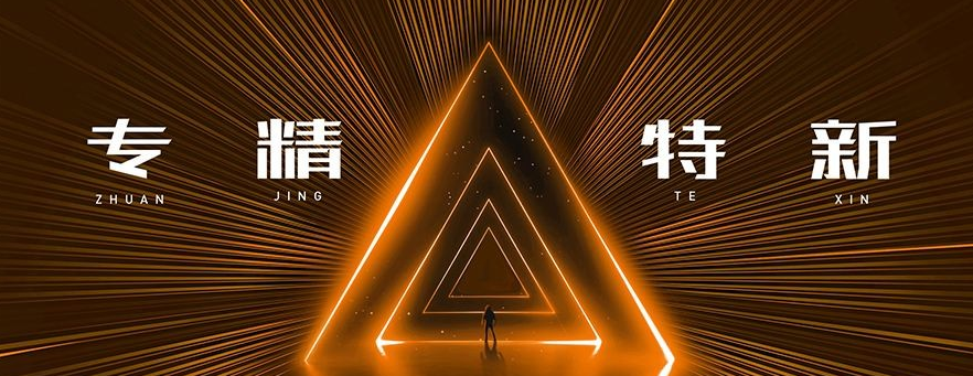 2021年深圳市专精特新中小企业遴选申报指南